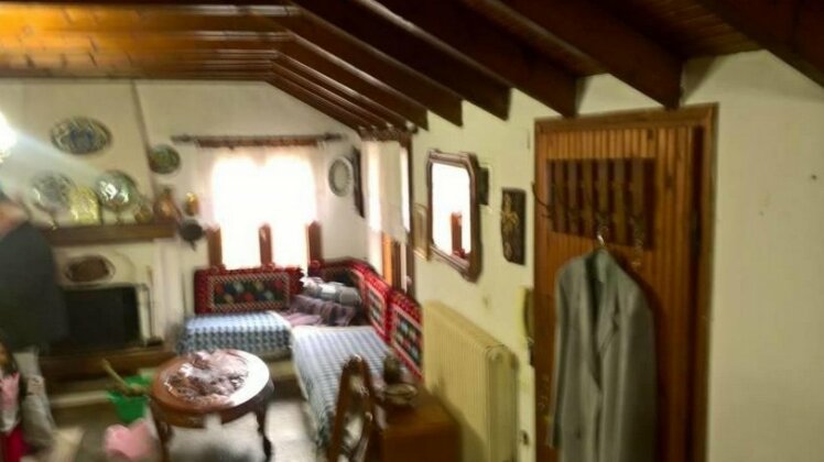 Psakoudia Holiday Home - Photo3