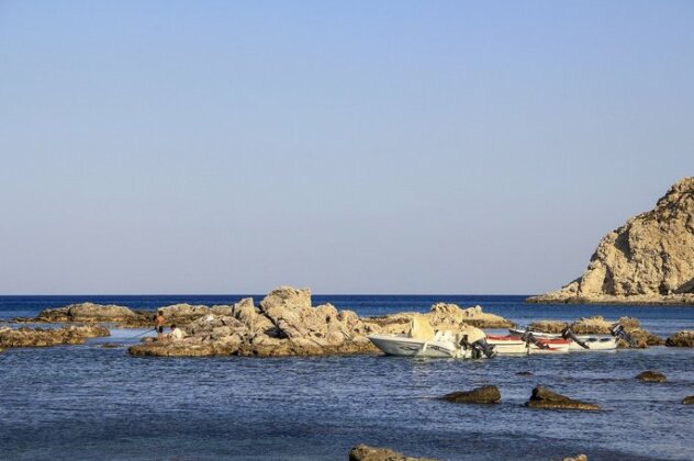 Alpha Stegna Sun - Photo4