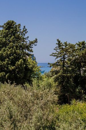 Alpha Stegna Sun - Photo5