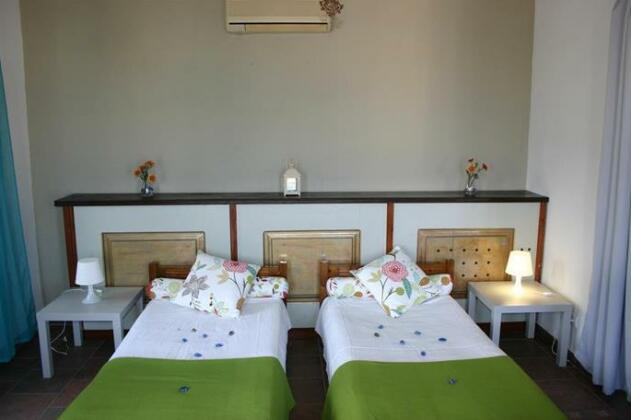 Amfithea - Photo5