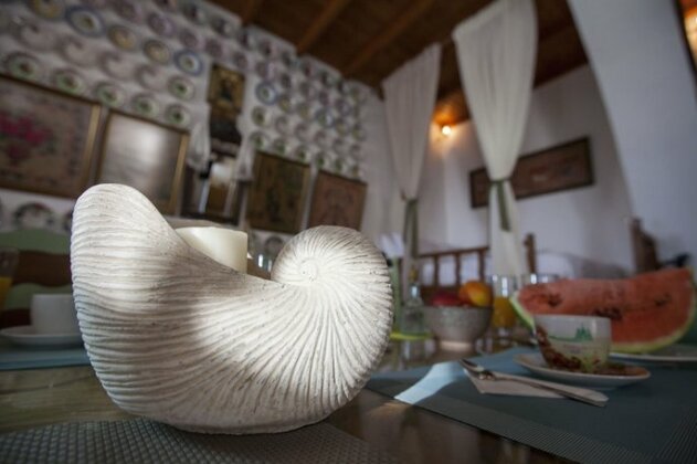 Arch Villa - Photo3