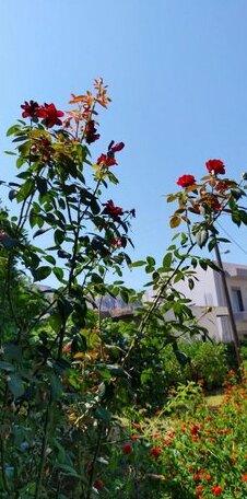 Dalia Village House with Large Garden - Photo4