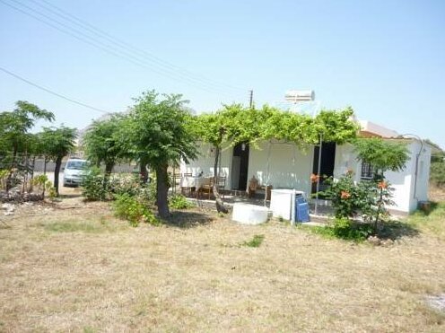Haraki Vineyard