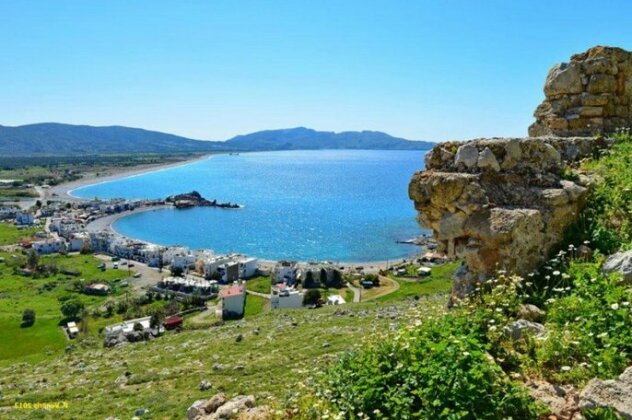 Traditional Villa Aphrodite - Photo3