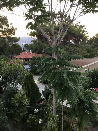 Villa Eirini Rhodes - Photo3