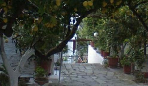 Lemon House Kokkari - Photo4
