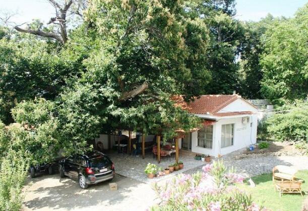 Studios La Kastania - Photo4