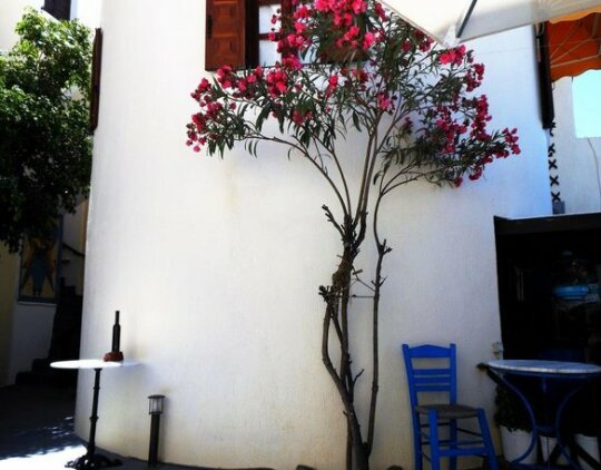 Argonaftes - Photo4
