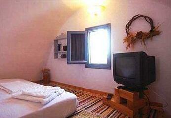 Ecoxenia - Photo5