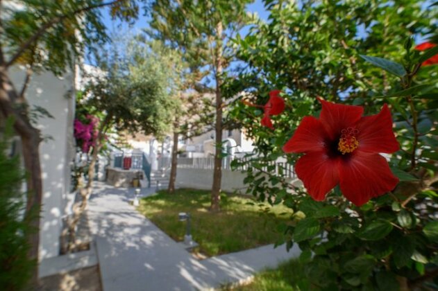 Iris Boutique Hotel Santorini - Photo5