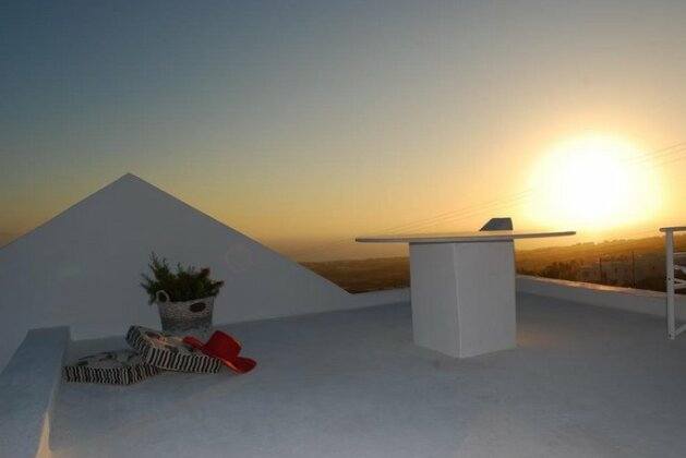 Palm Tree Hill - Photo2