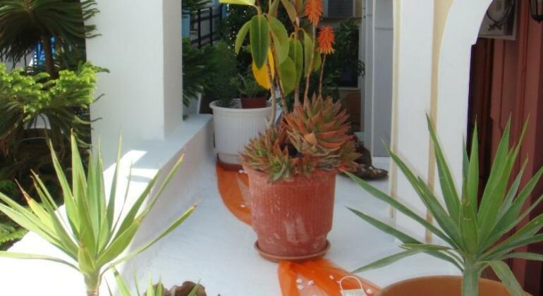 Pension Petros - Photo5