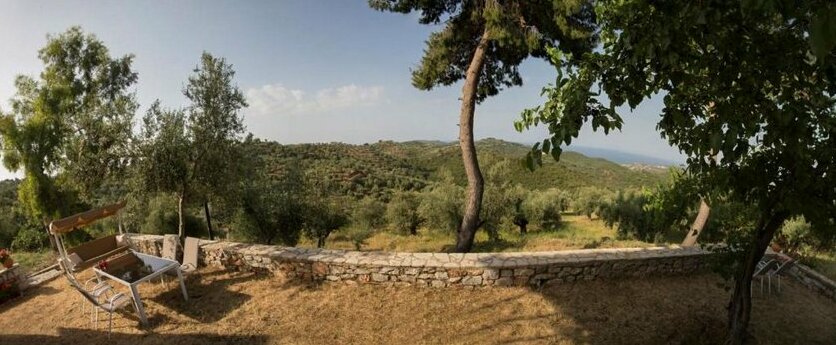 Olea Escape - Photo4