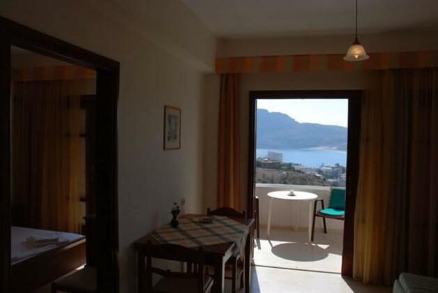 Olive Grove Sellia - Photo4
