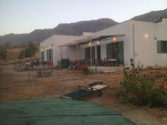 Photo 4