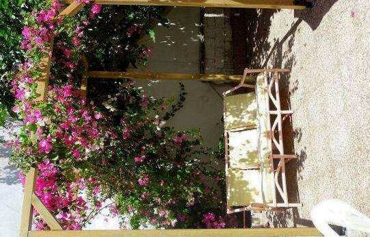 Albatross Hotel Serifos - Photo3