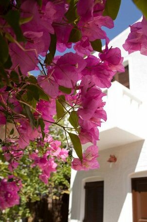 Hotel Albatross Serifos - Photo5
