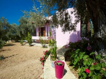 Villa Athina Experience the real Cretan nature