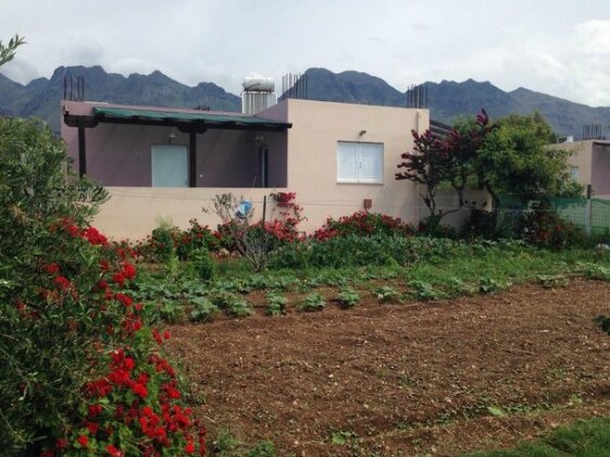 Kioni Villas - Photo2