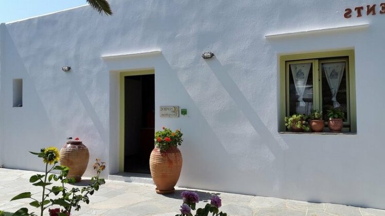 Morfeas Pension - Photo3