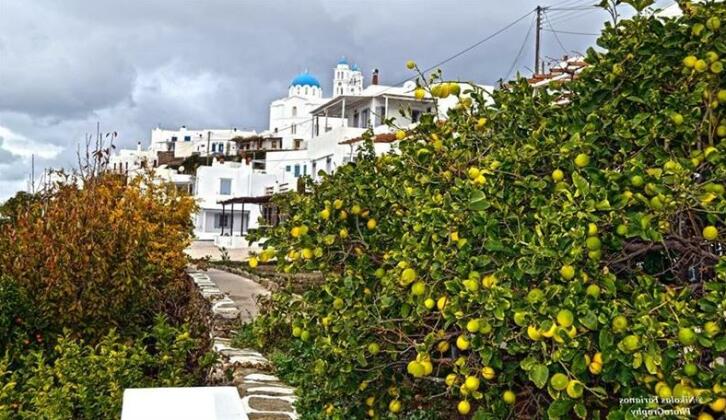 Pension Geronti - Photo4