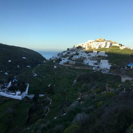 Villa Lemonia Sifnos - Photo2