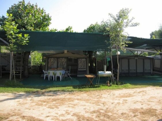 Camping Tsitreli - Photo5