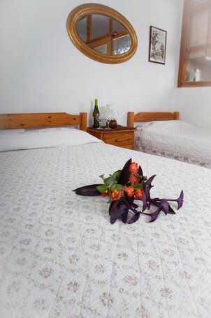 Emi House Sithonia Peninsula - Photo4