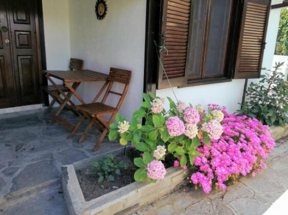 Jenny' s Garden - Photo3