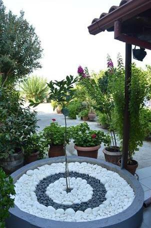 Nikos & Panagiota - Photo3