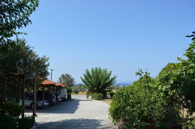 Nikos & Panagiota - Photo5
