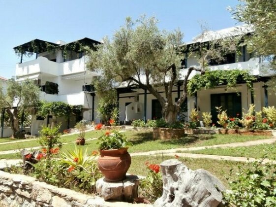 Olive House - Photo3