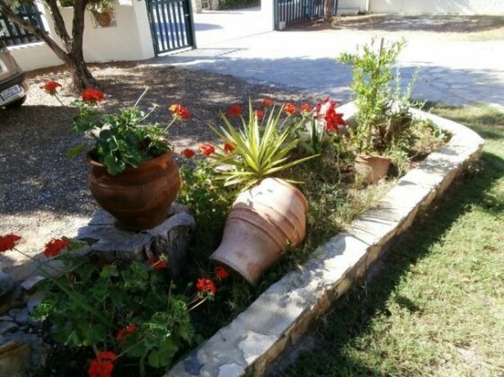 Olive House - Photo5