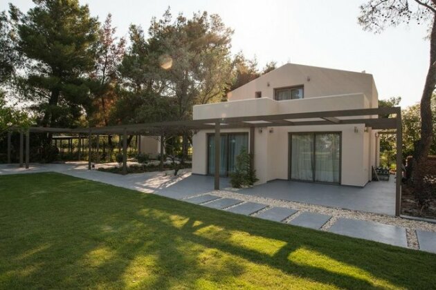 Tiamo Secrets - Palm Garden - Photo2