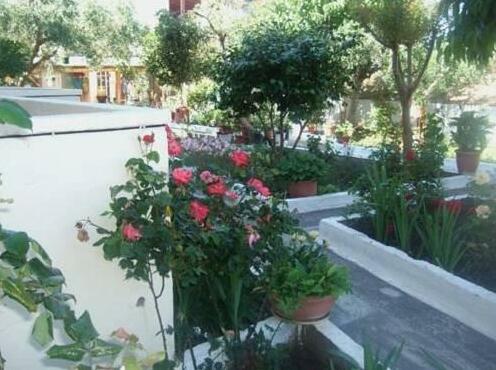 Villa Irida Sithonia Peninsula - Photo5