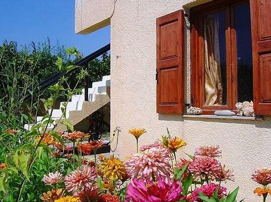 Dimitra Apartments - Photo3