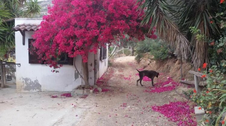 Sitia Vrisidi ranch - Photo2