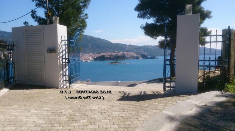 Blue Skiathos Ltd - Photo2