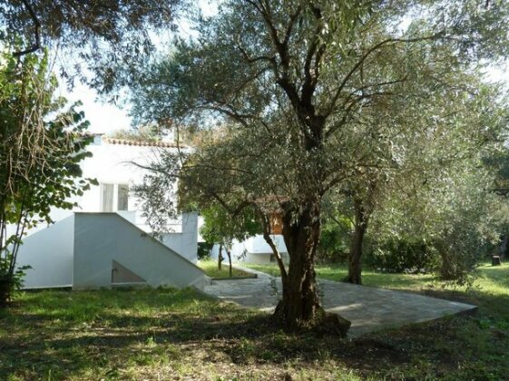 Olive Tree Villa Skiathos