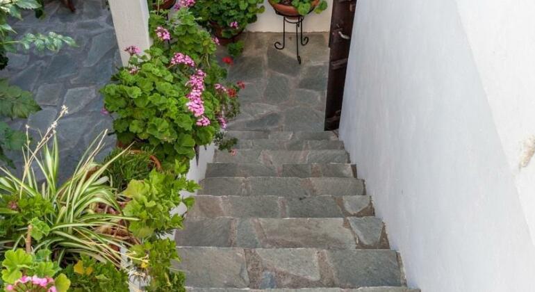 Traditional House - Photo2