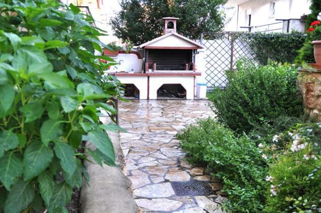Elanios Zeus - Photo3