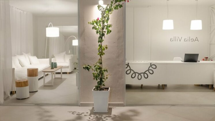Aelia Villa Thasos - Photo3