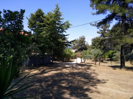 Glykadi Pine-House - Photo4