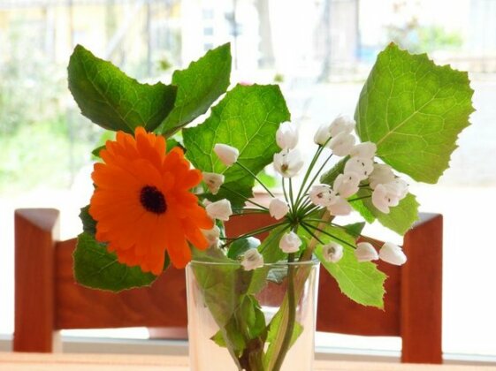Triada Hotel Limenaria - Photo2