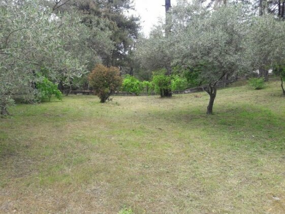 Villa Leo Thasos - Photo3