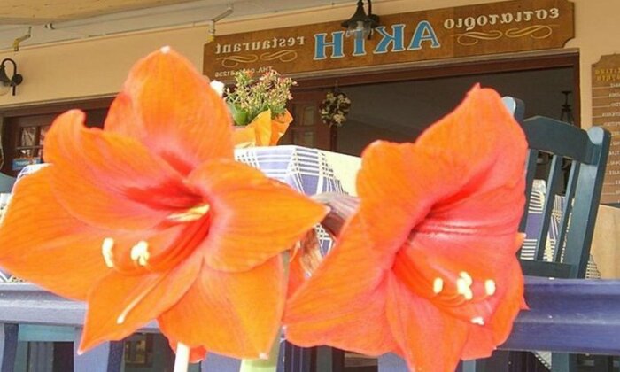 Akti Agios Ioannis - Photo4