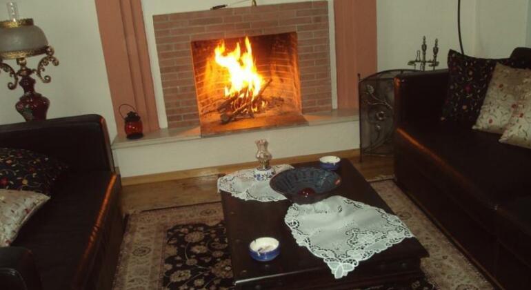 Araliides - Photo5