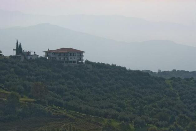 Guesthouse Arsenis - Photo2