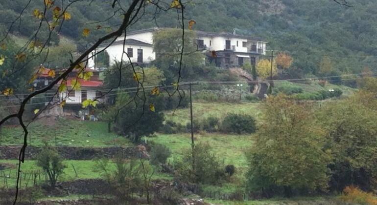 Hotel Pyli - Photo2