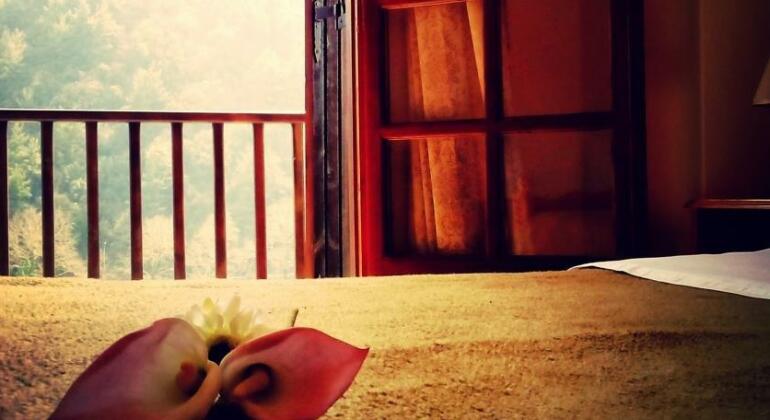 Hotel Pyli - Photo5